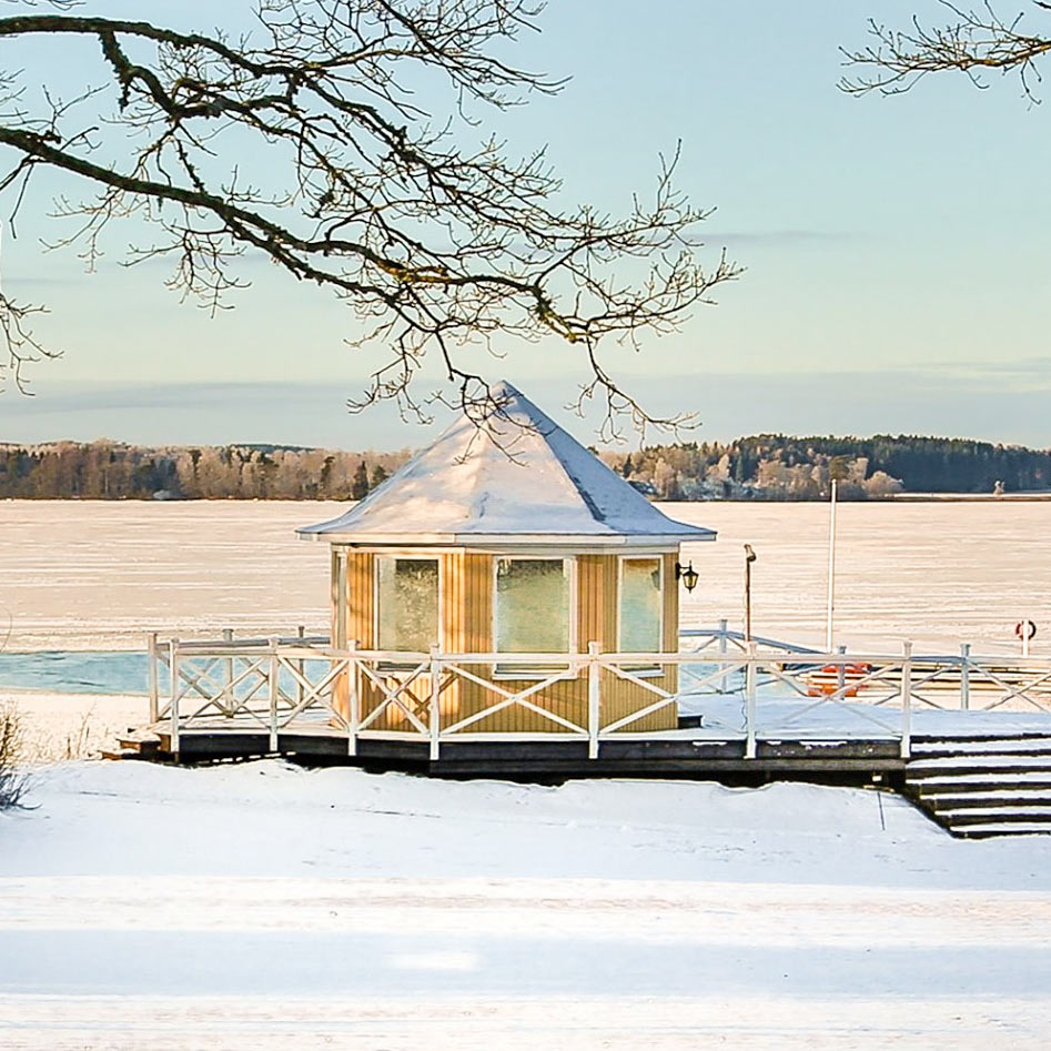 vinter-konferens