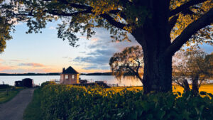 Kvällsljus över Kräggas lusthus och sjöspa.